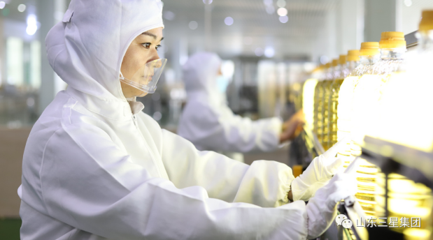 山東三星集團(tuán):新春新氣象 虎年躍新程