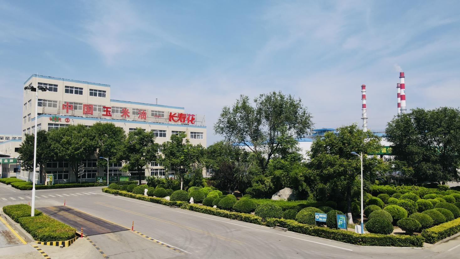 創(chuàng)新驅(qū)動 產(chǎn)權(quán)護航｜長壽花食品通過知識產(chǎn)權(quán)管理體系監(jiān)督審核